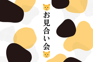 (御礼)5月25日(土)は猫のお見合い会 in 今治